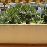 Tropicana Park Fase Ii - Tp33 Duplex