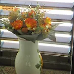 דירה Tropicana Park Fase Ii - Tp33 Duplex דניה